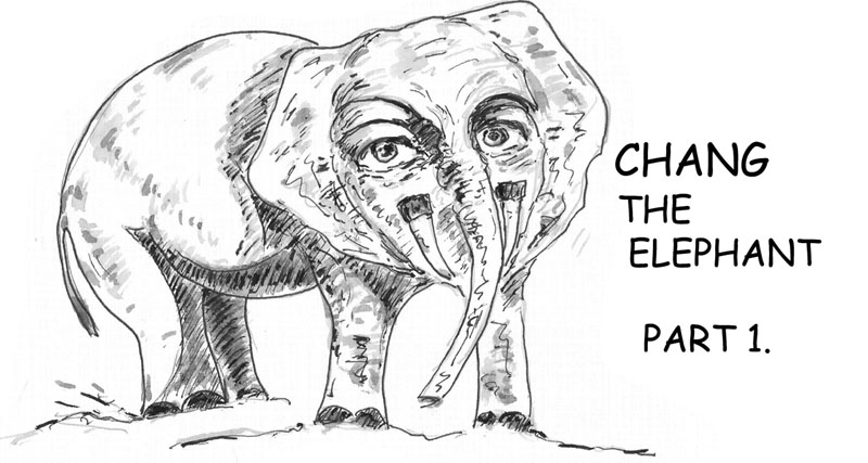 cover_page_eng
