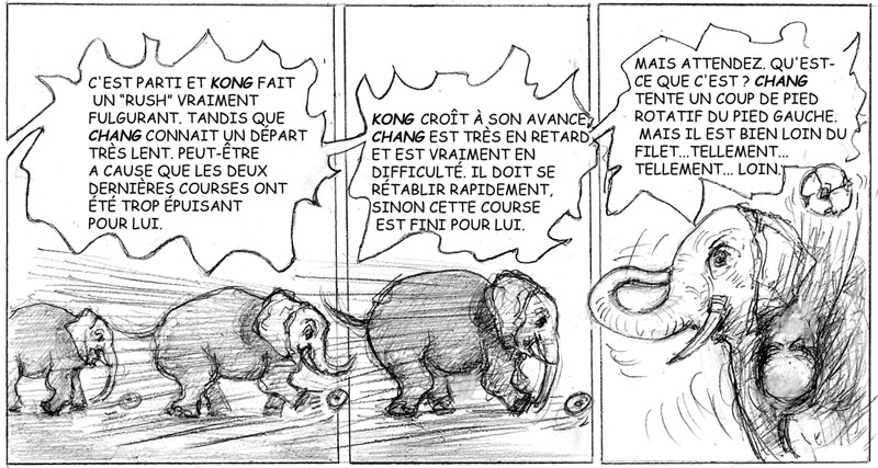 image_036_fr