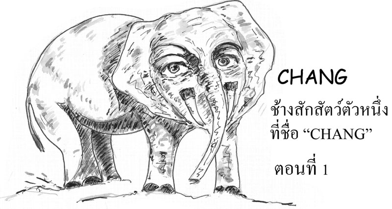 cover_page_th
